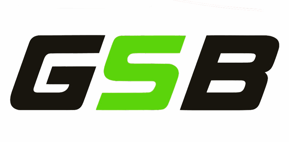 GSB Fisioterapia